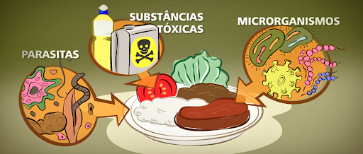 Os Riscos De Contaminação Alimentar Portal Brasil Norte 7930