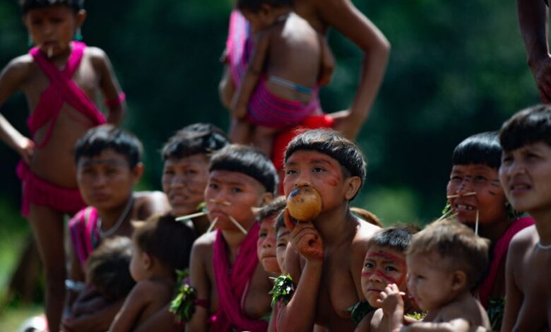 Indígenas Yanomami. Foto: Divulgação