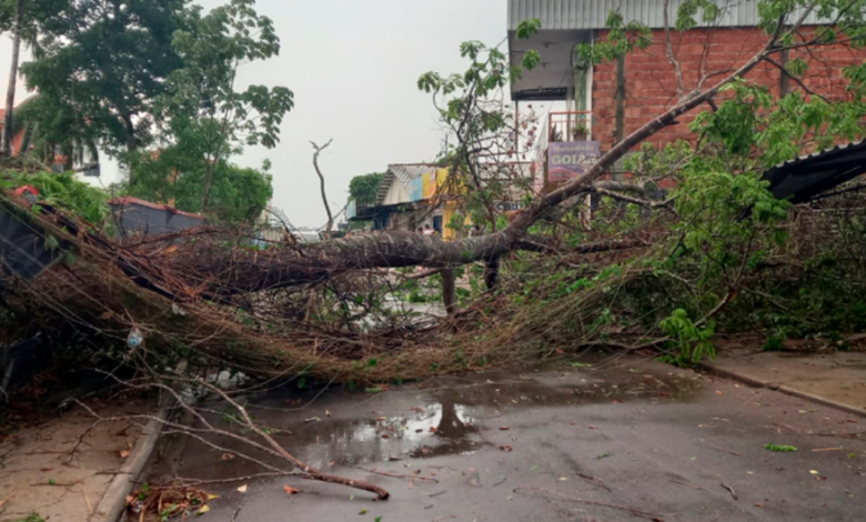 Temporal acompanhado de vento forte causa transtornos em Caxias do