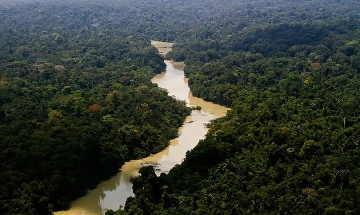 Registro mostra rio correndo em meio à floresta amazônica. Foto: Divulgação