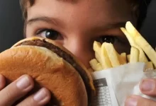 Foto mostra criança segurando hambúrguer com batata frita. Foto: Divulgação