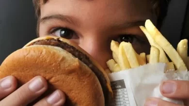Foto mostra criança segurando hambúrguer com batata frita. Foto: Divulgação