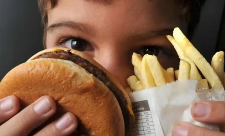 Foto mostra criança segurando hambúrguer com batata frita. Foto: Divulgação